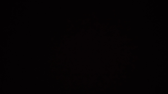 서은냥（aodldi1）