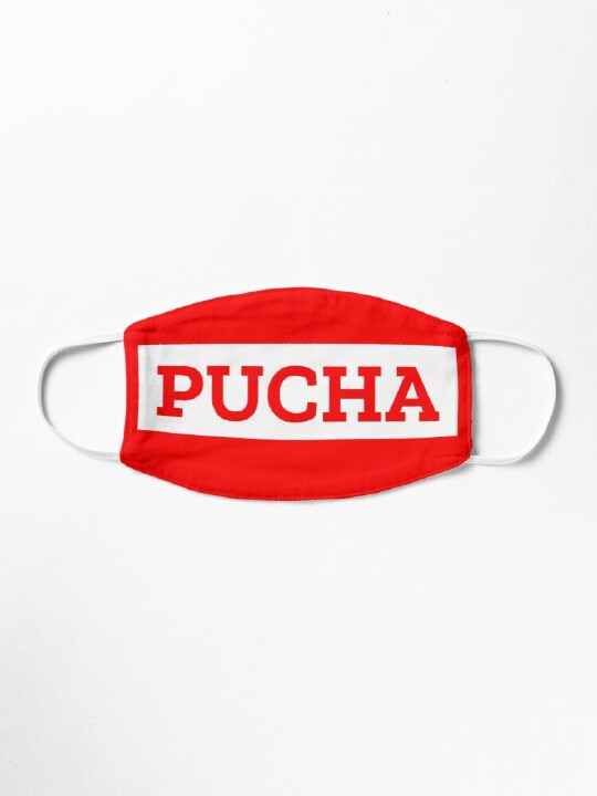 ✨부처지원서✨