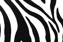 슬기로운백수생활