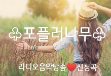 ♧포플러나무♧