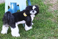 《기화》는사냥꾼