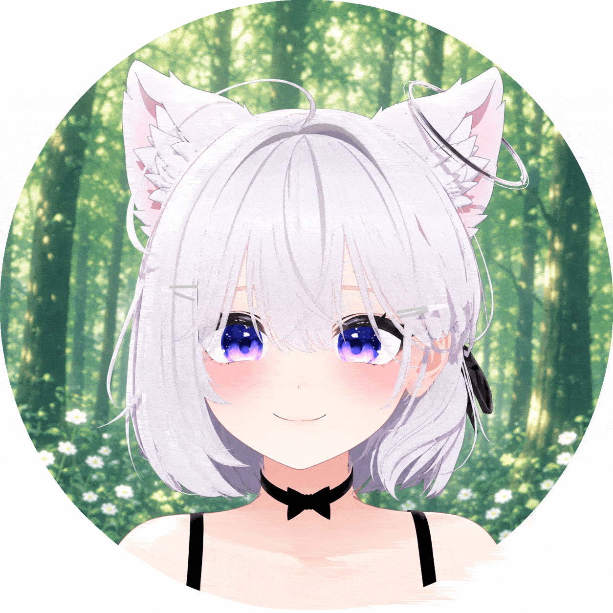 티백이:)（222t100）