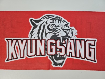 경상중야구부（keodydd）