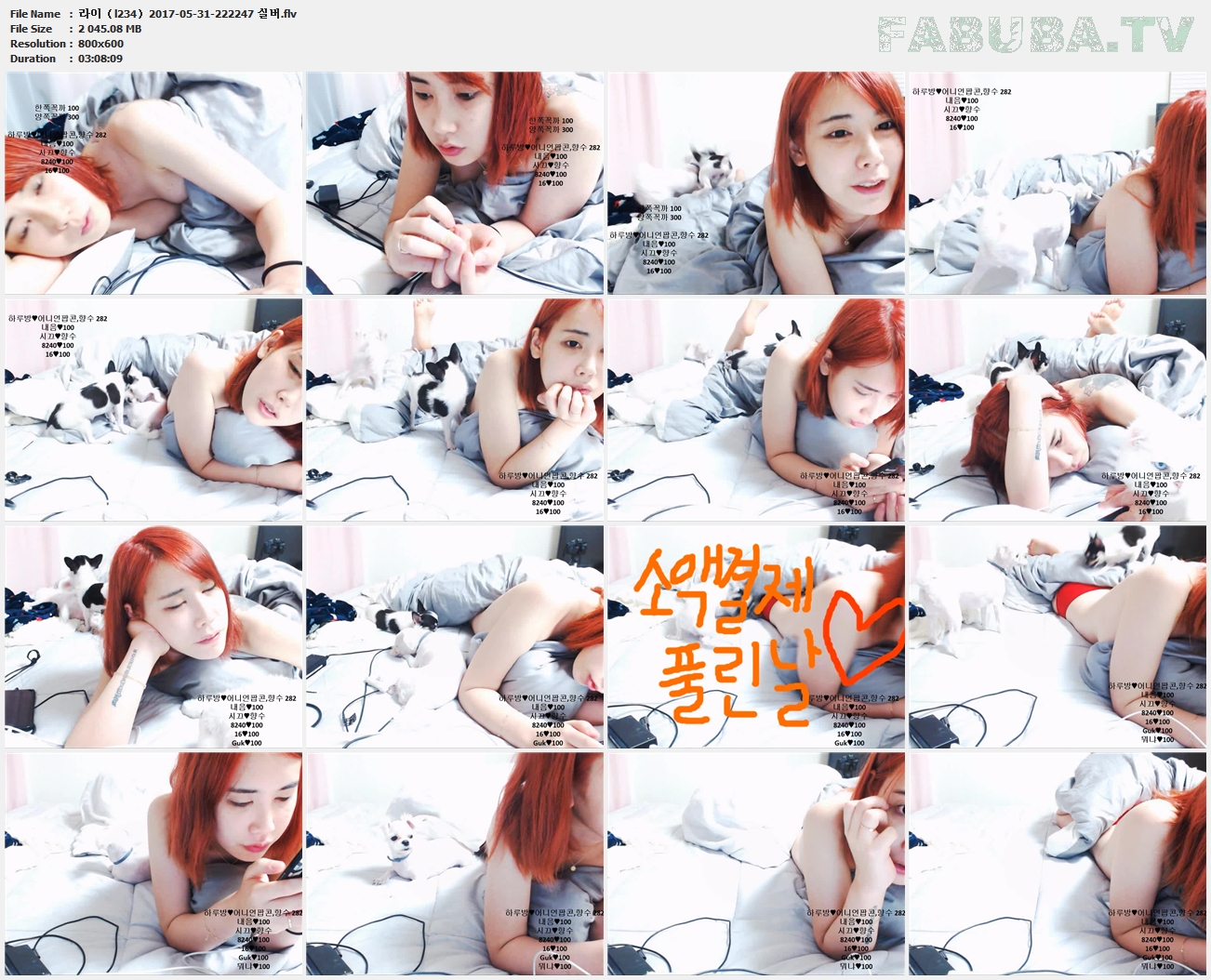 라이（l234）2017-05-31 실버