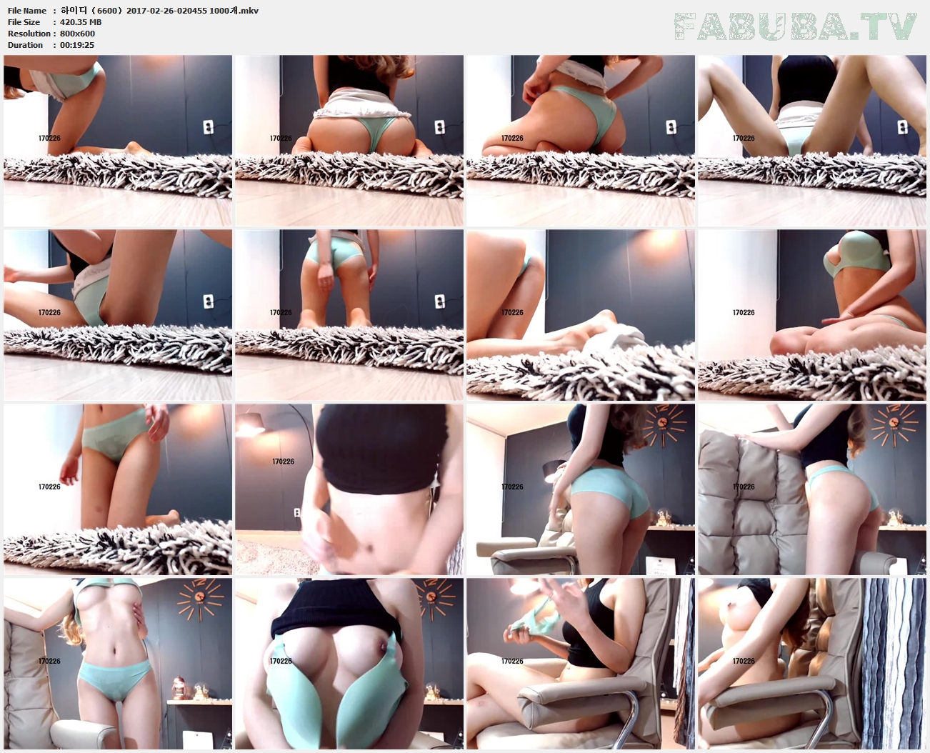 하이디（6600）2017-02-26 브압