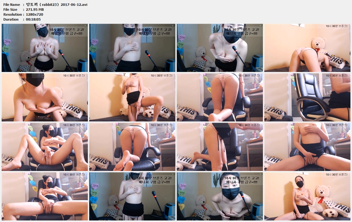 양토끼（rabbit23）2017-06-12