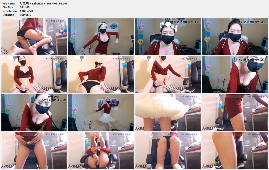 양토끼（rabbit23）2017-06-14