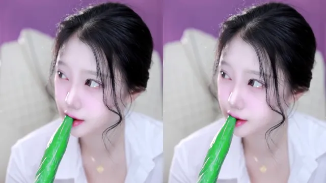 [RM]레미（fpal0915）260502