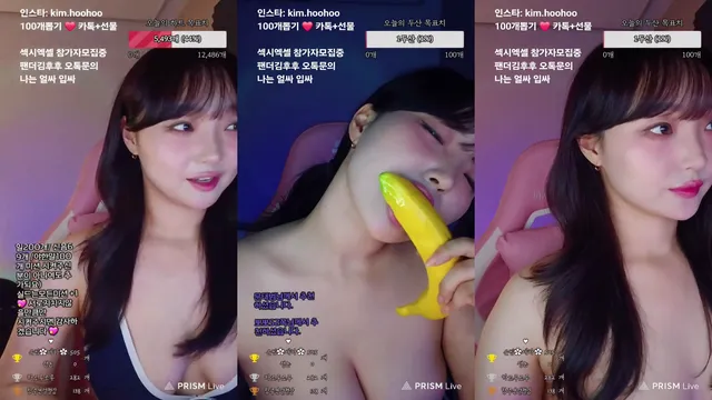 ■김후후■（zxc1002011）241205