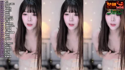 ♡혜밍（dign1461）241216