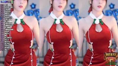 ♡혜밍（dign1461）241222