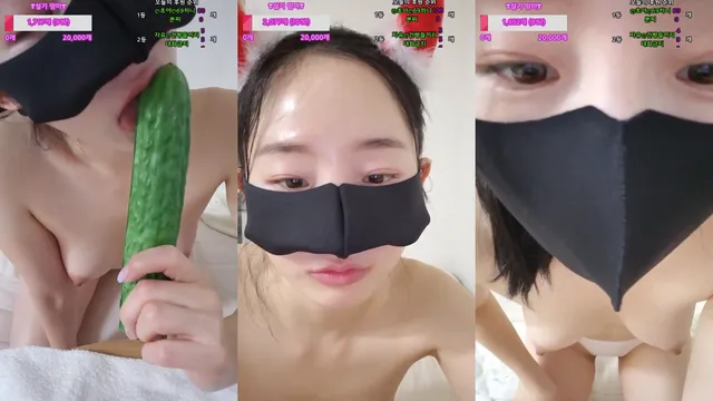 ❤️백설기❤️（wnwn90）241224