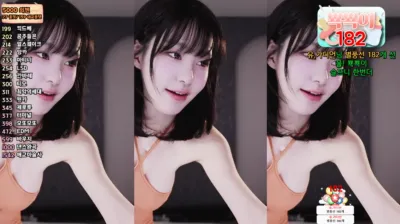 갓세희sehee（godsehee）250311