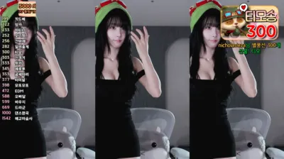 갓세희sehee（godsehee）250417