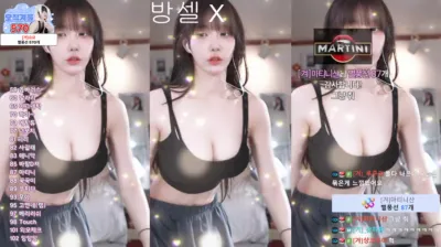 겨우디_（rlrlvkvk123）250411