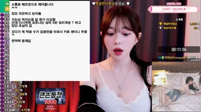 김빵귤♥（flower1023）250927