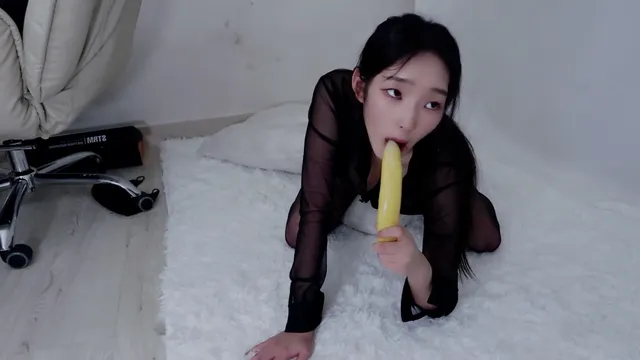 닉스Nyx_☾（nyxbada0220）250526