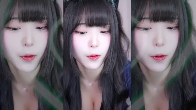다냥S2（siru0207）240726