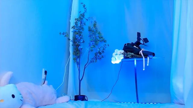 다애ღ（ehdbs0105）240909