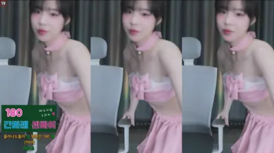 도라미♥（navi04）241013