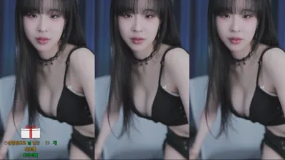 도라미♥（navi04）241229