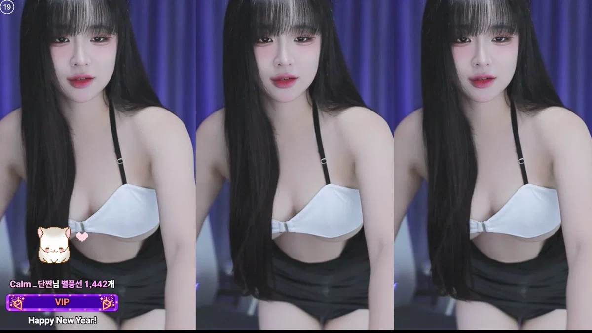도라미♥（navi04）260102