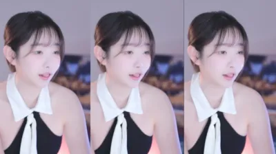둘기얏（1004ysus）250201