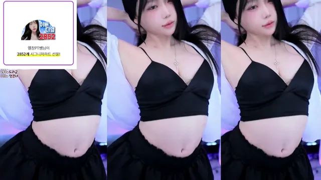 디앨이（eldofdl）241130