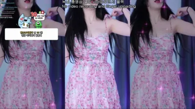 박틸다（tildaaa）240304
