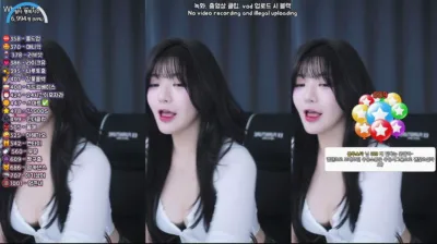 박틸다（tildaaa）240402