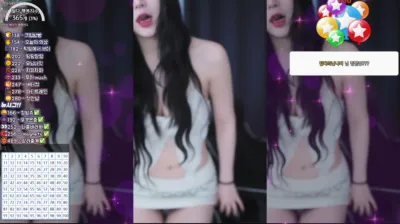 박틸다（tildaaa）240408