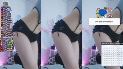 박틸다（tildaaa）240513
