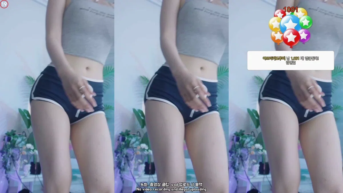 박틸다（tildaaa）240728