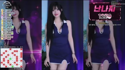 박틸다（tildaaa）240828