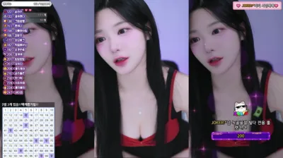 박틸다（tildaaa）250302