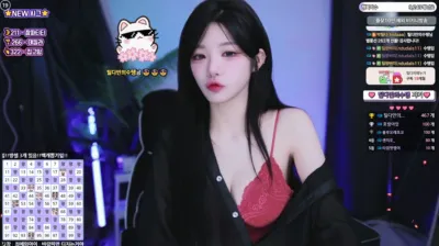 박틸다（tildaaa）250704