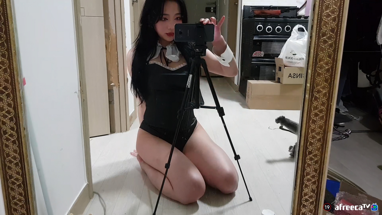 박하악（qkrgkdms01）하이레그 거울
