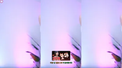 박하악（qkrgkdms01）240604