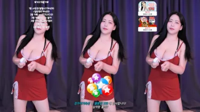 백나현（wk3220）240820