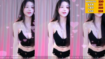 붓잽이（km5430678）240626
