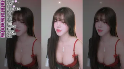 새봄ღ（dbzala）250106