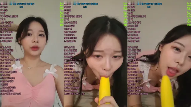 솜먼지（ajswl12）230630