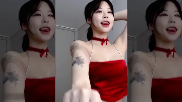 솜먼지（ajswl12）231225