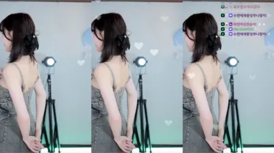 수련수련（sooflower）240410
