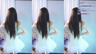 수련수련（sooflower）240820