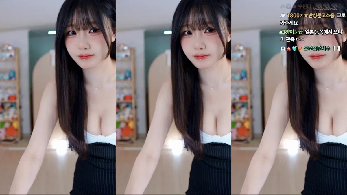 수련수련（sooflower）260420