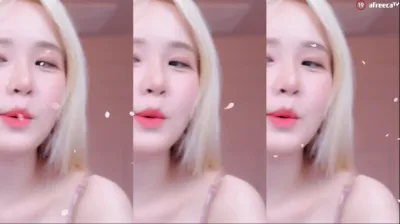 시연p（joahe2）231209