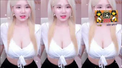 시연p（joahe2）240429