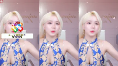 시연p（joahe2）240812