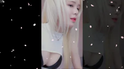 시연p（joahe2）241113